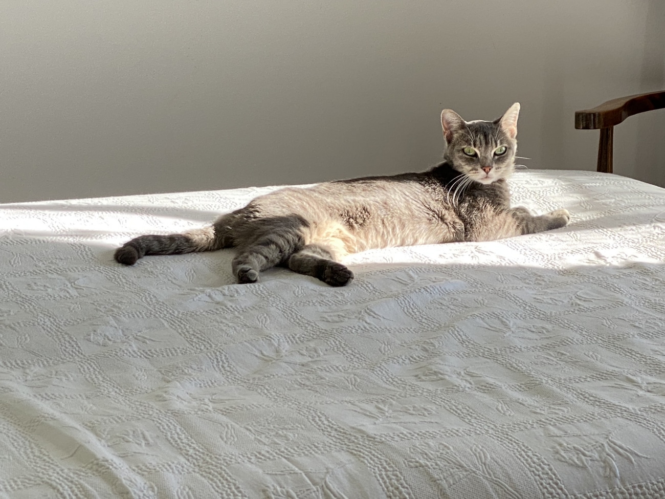 34 Francois E07 Pixie Club photo Salies 64